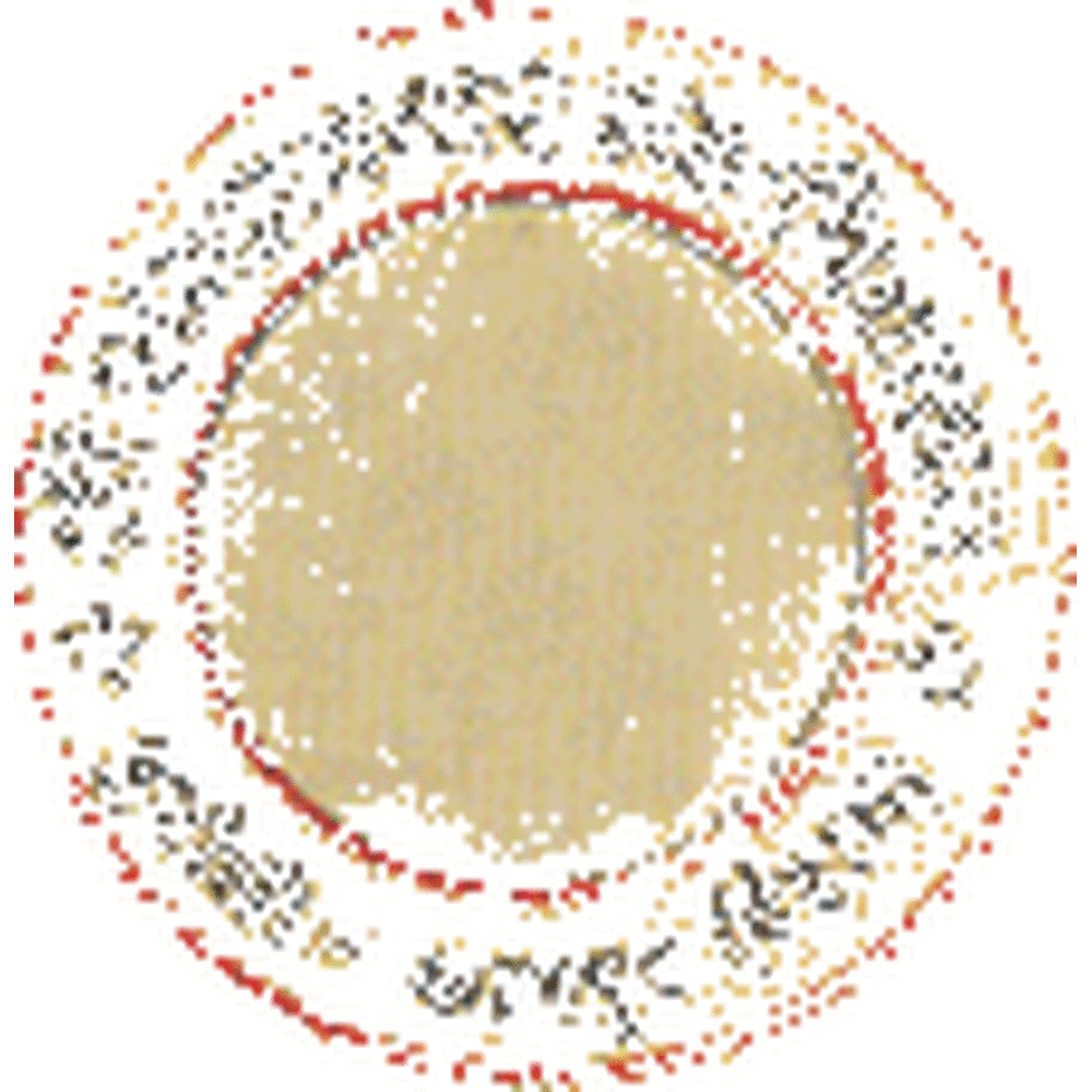 Shri Ram Autar Mahavidyalaya (SRAM) - Logo
