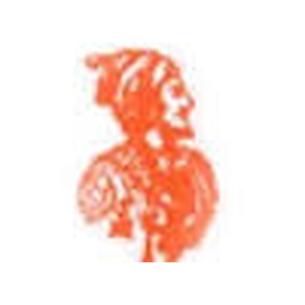Shri Shivaji Maratha Society Adhyapak Mahavidyalaya (SSMSAM) - Logo