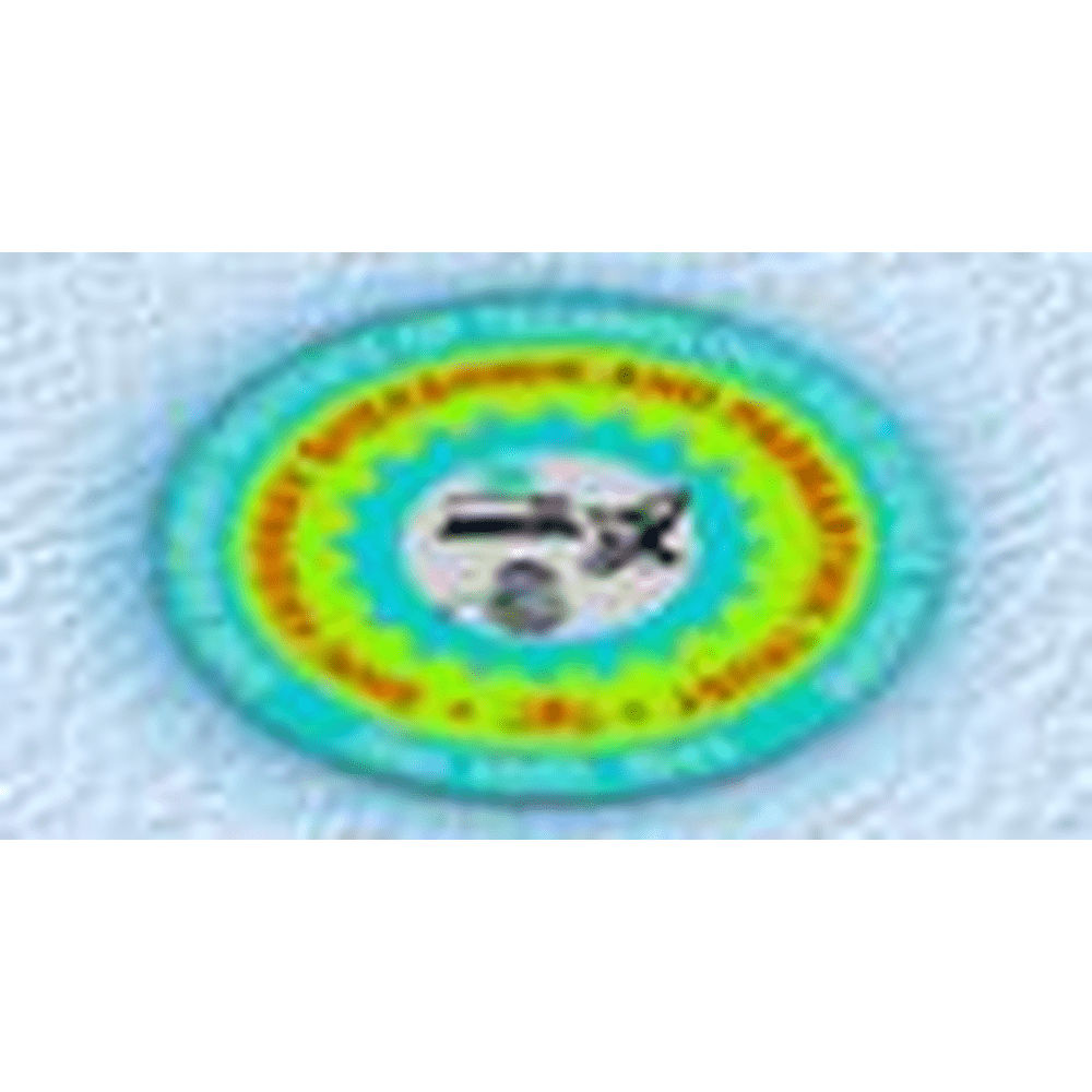 Shri Vaishnav School of Business Management (SVSBM) - Logo