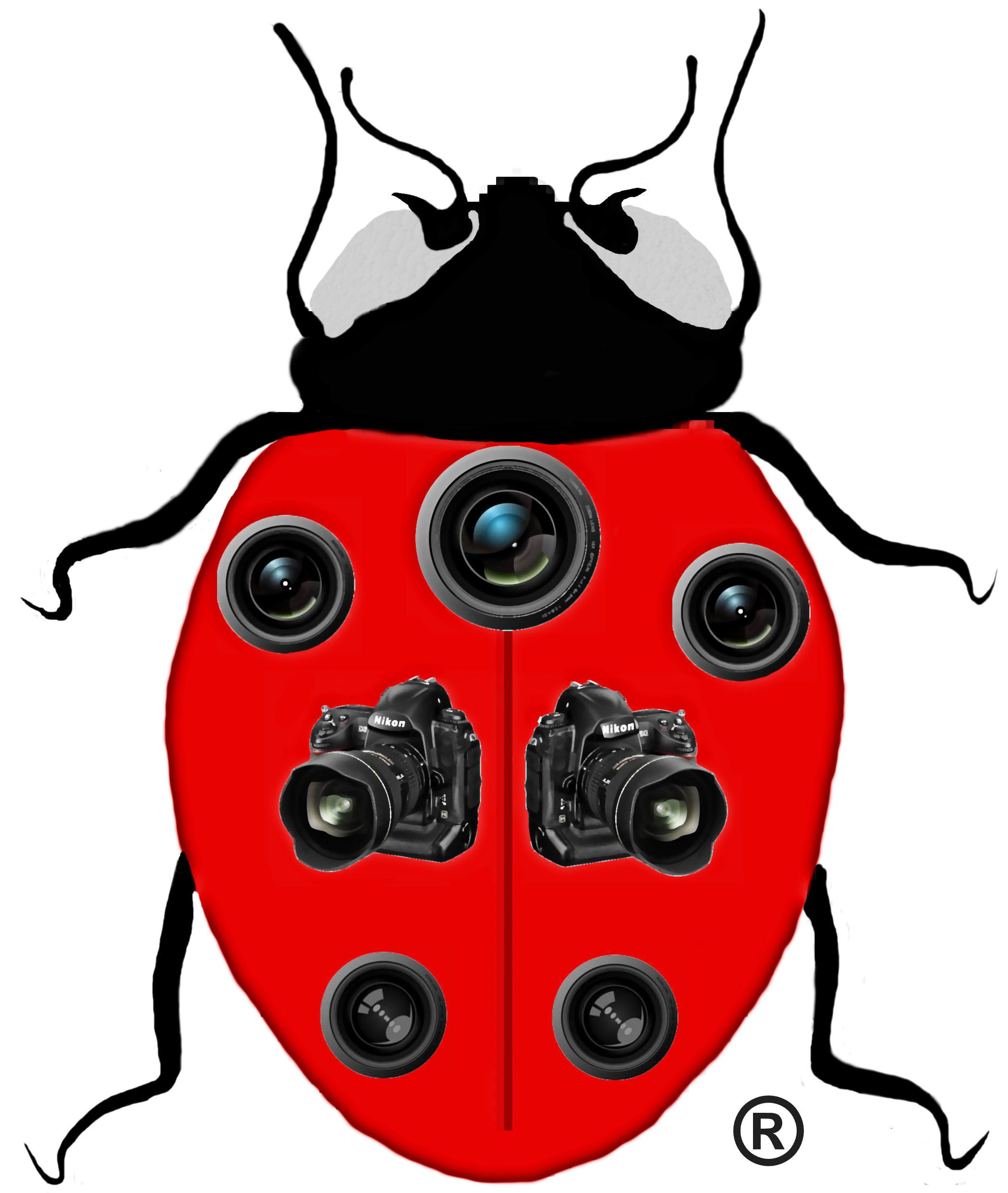 Shutterbug Photo Design - Logo