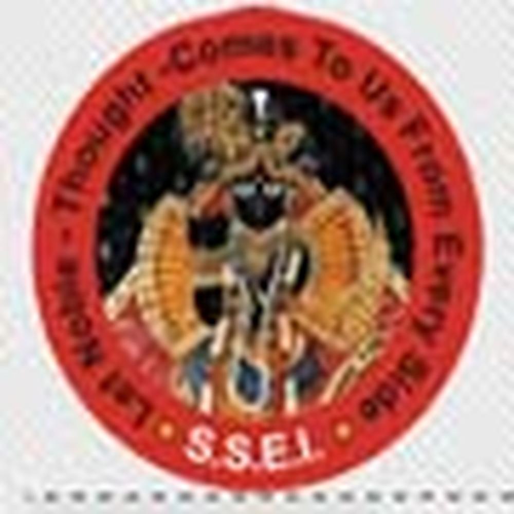 Shyama Shyam Teacher's Training College (SSTTC) - Logo