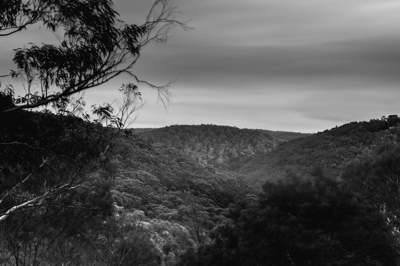 Sierra Funeral Flowers - Cover photo