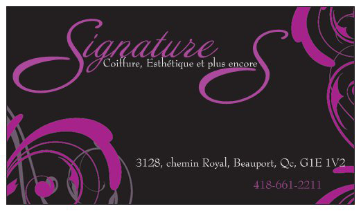 Signature S - Logo