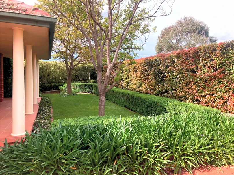 Silas Brown Gardening & Maintenance - Cover photo
