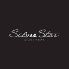 Silver Star Mercedes Benz - Logo