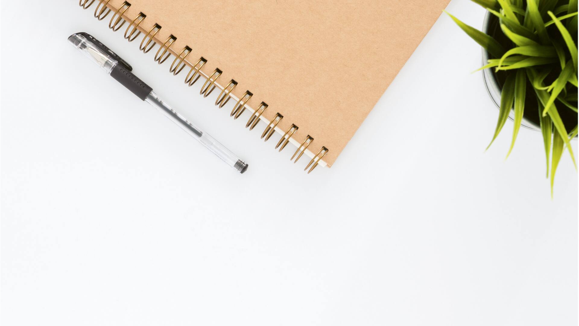 Silvertree Consulting - Cover photo