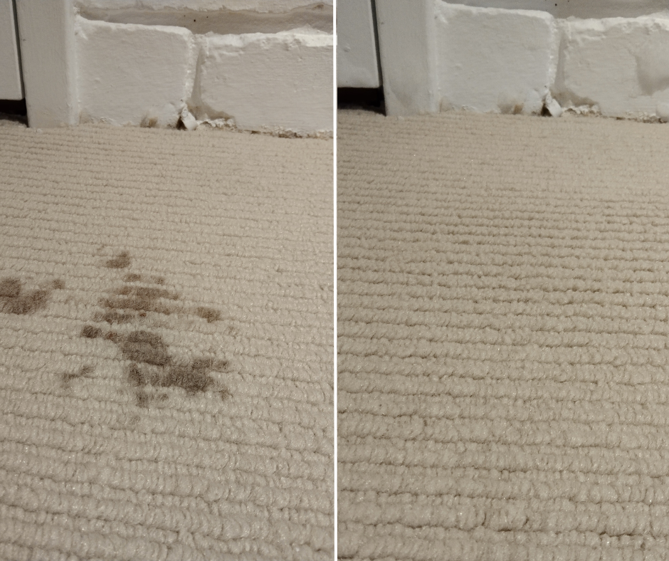 Simon's Carpet Care - Logo