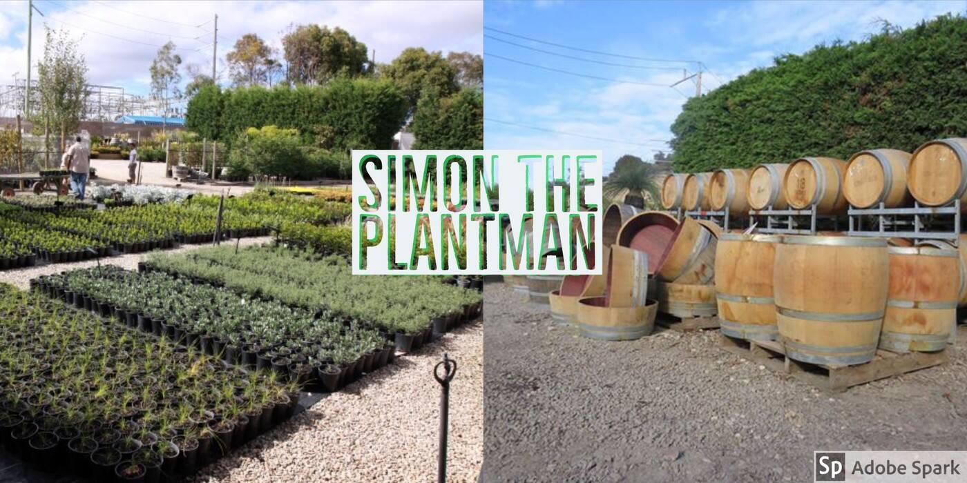 Simon The Plantman - Logo