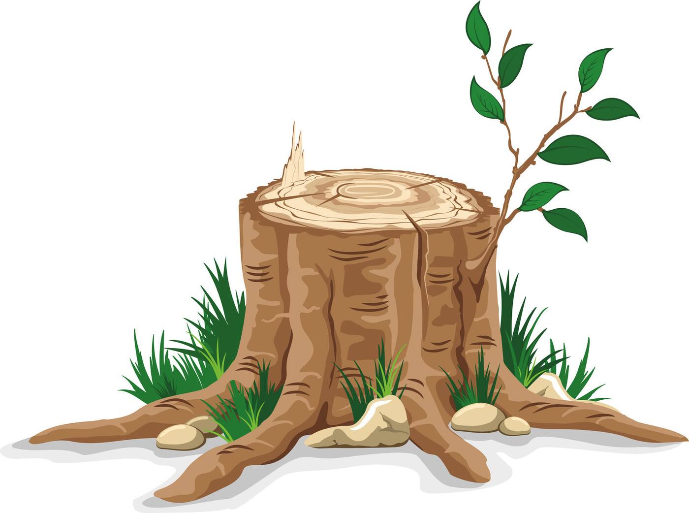 Simply Stump Grinding - Cover photo