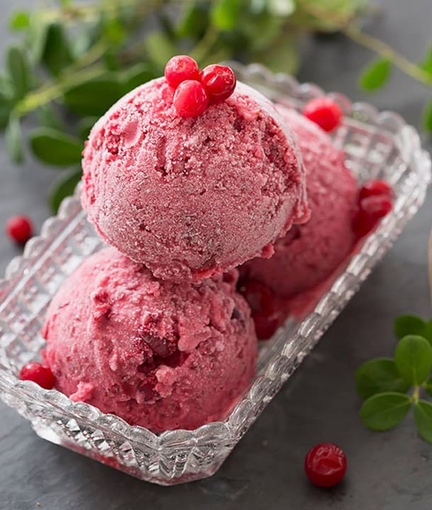 Sindhi Ice-cream & Fastfood - Logo