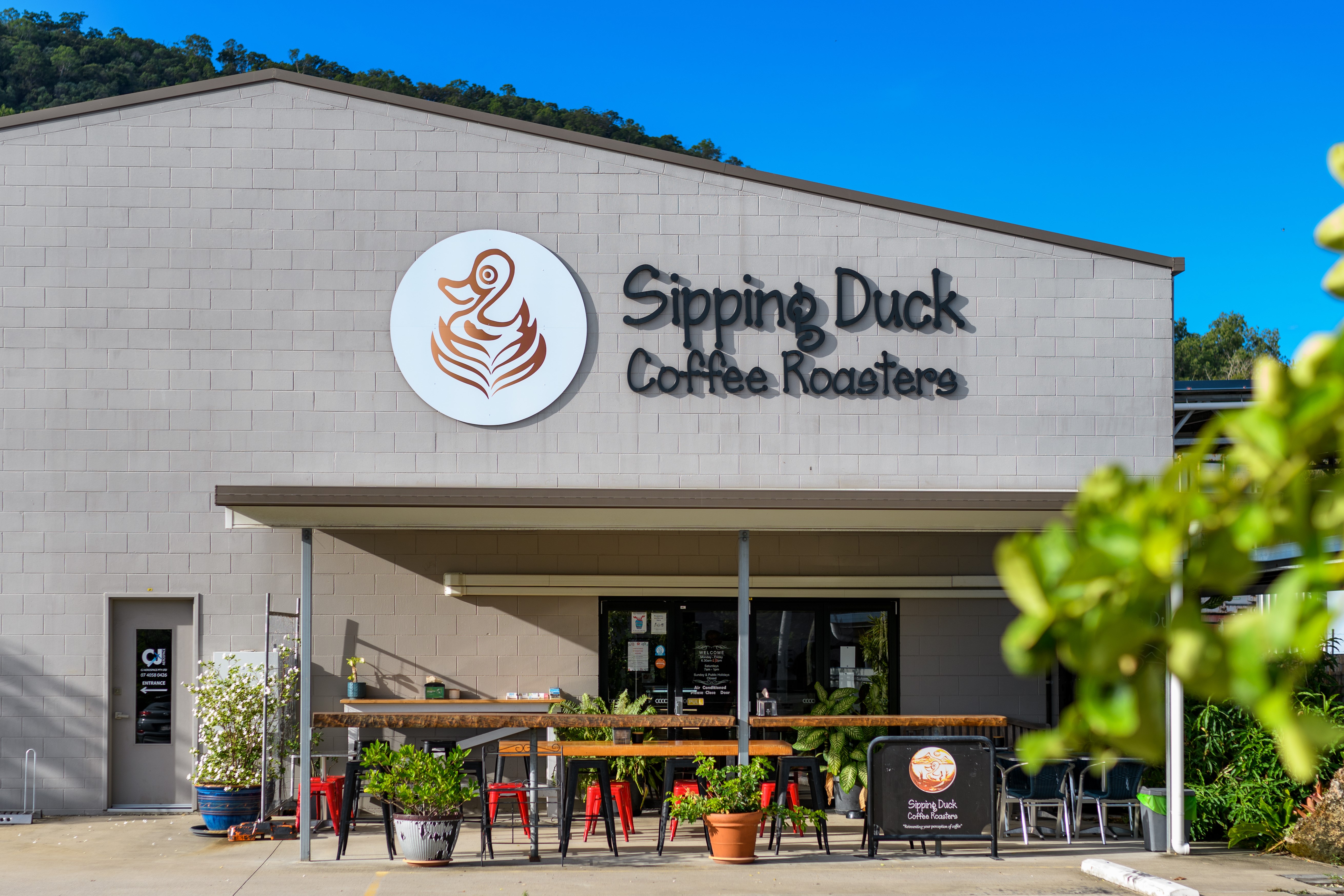 Sipping Duck - Logo