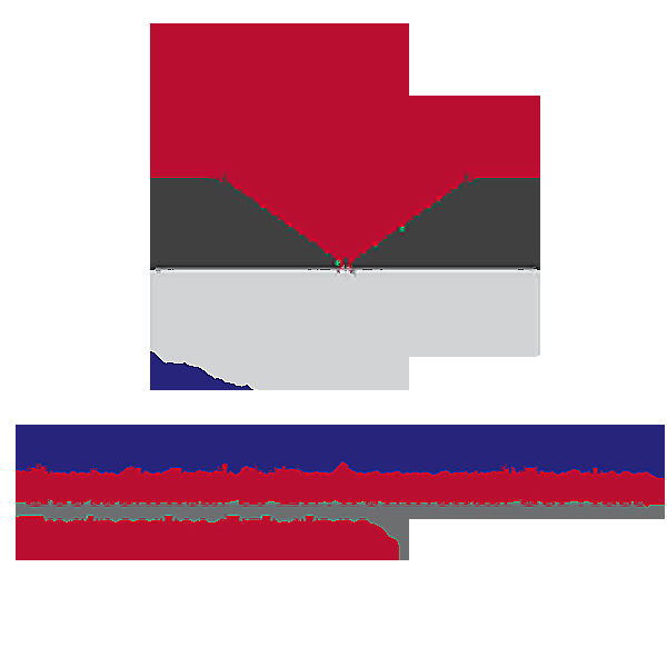 Sirati And Partners Consultants Limited - Logo