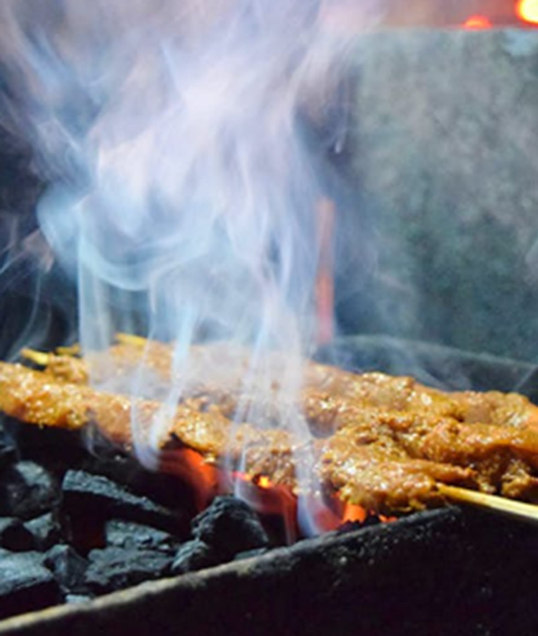 Sizzling Kebabs & Biryaani - Logo