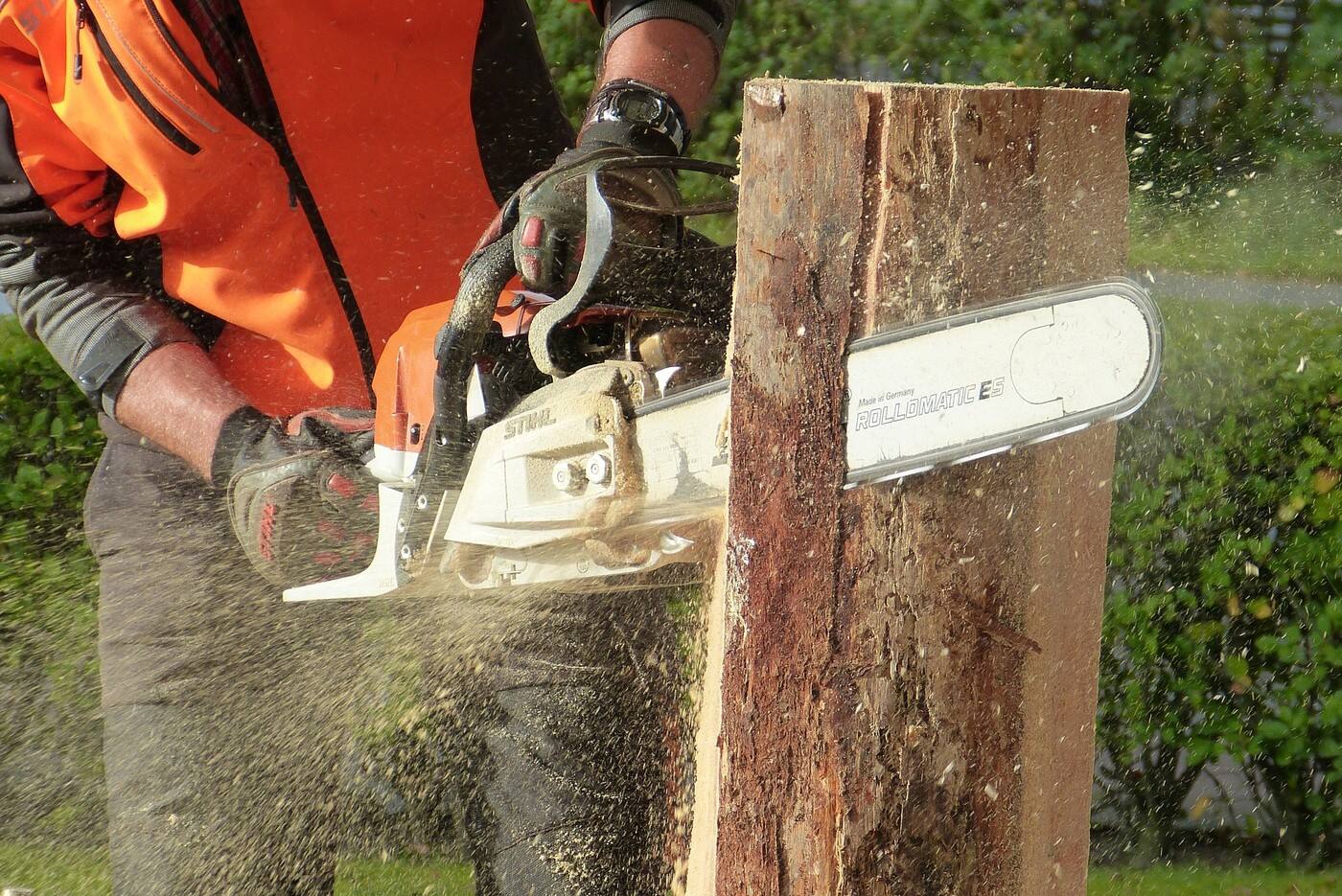 Skilled Tree Solutions Australia - Cover photo