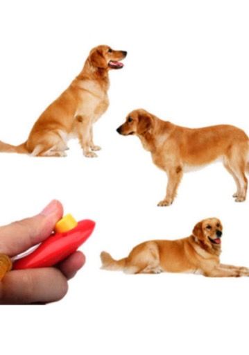 Skills 4 Dogs - Logo