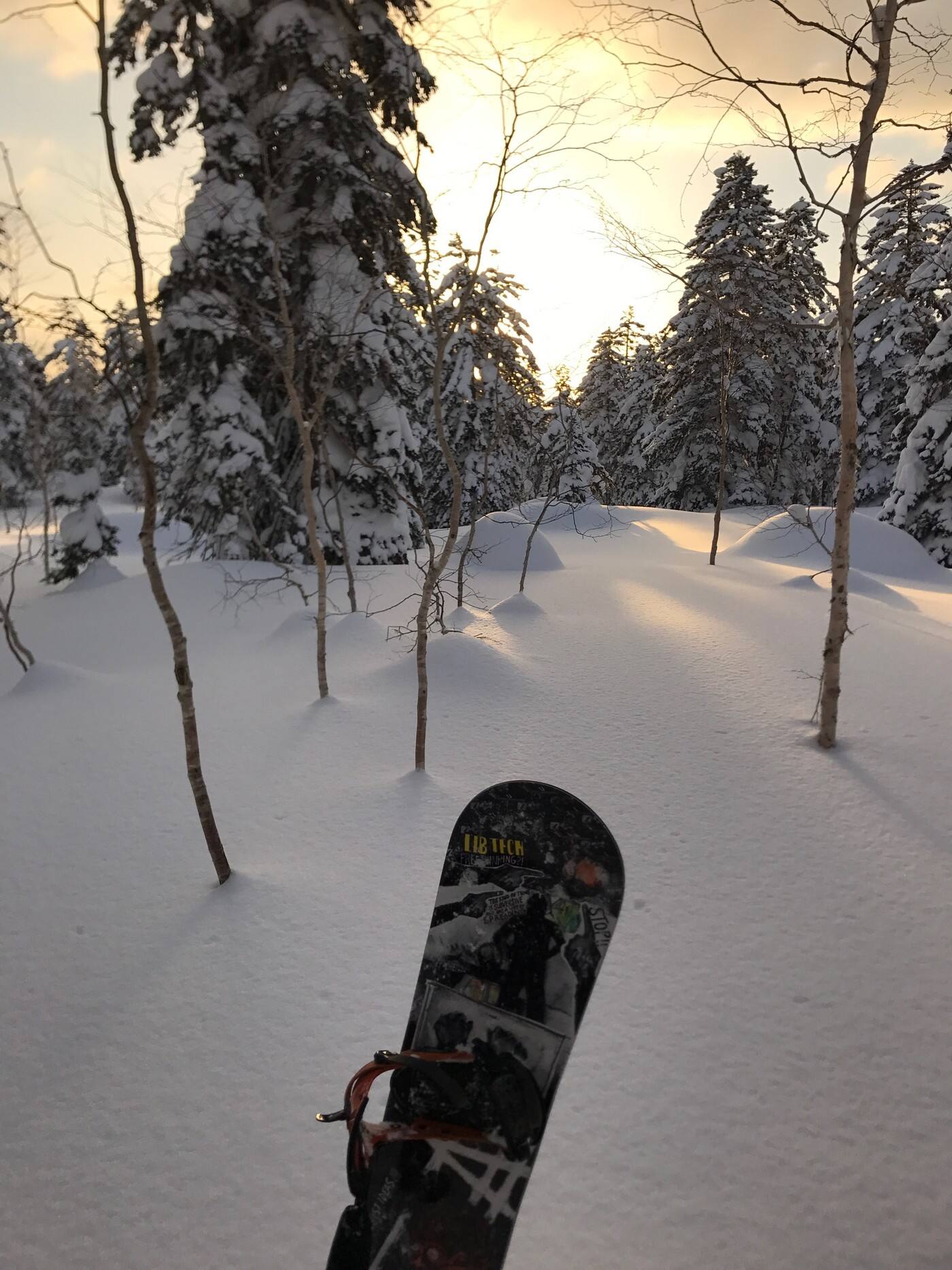 Skiplus - Cover photo