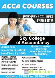 Sky B.Ed college - Logo