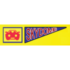 Skydome Emission &a; Alignment Centre Inc - Logo