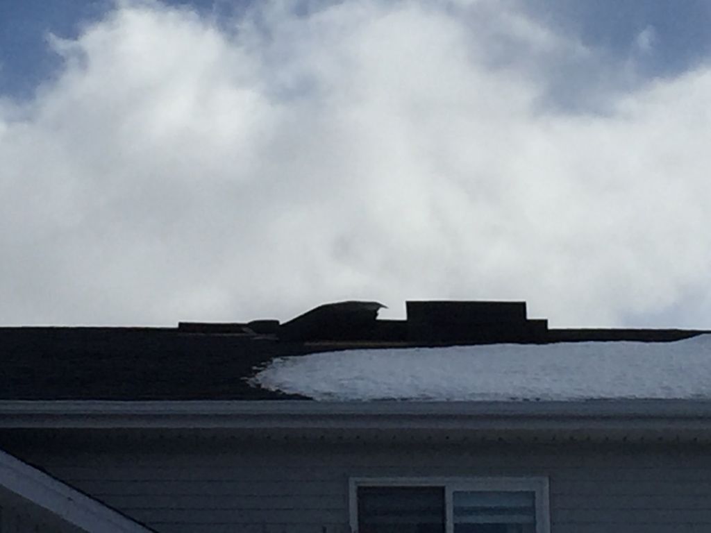 Sky-Line Roofing Services - Logo