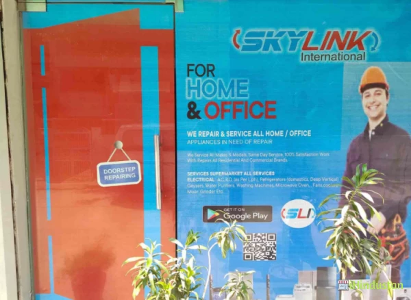 Skylink International Pvt Ltd - Logo