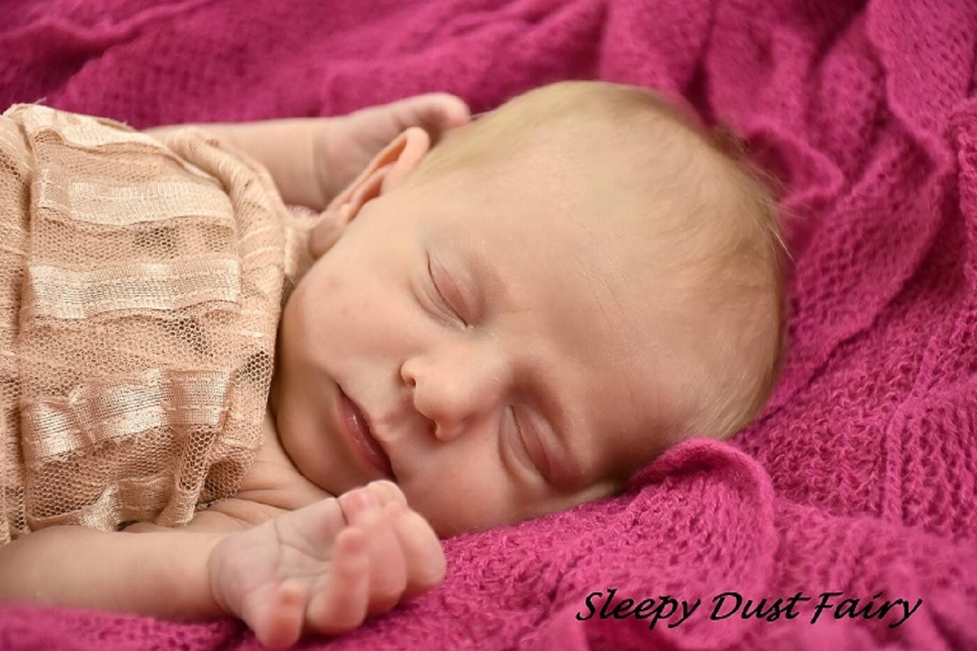 Sleepy Dust Fairy - Logo