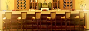 Slounge - Lemon Tree Premier - Logo