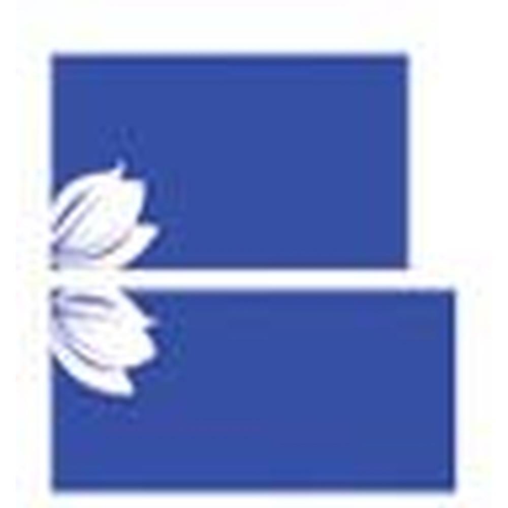 Smef'S Group Of Institutes - Logo