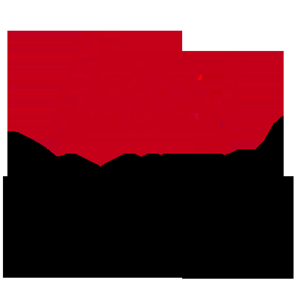Smith Enterprises - Logo