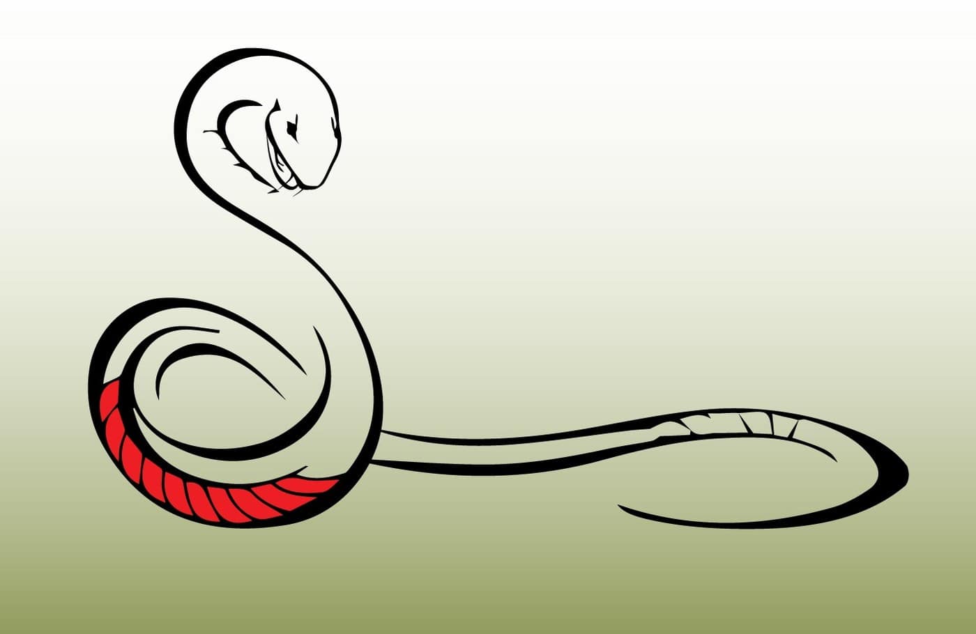 Snake Aware - Cover photo