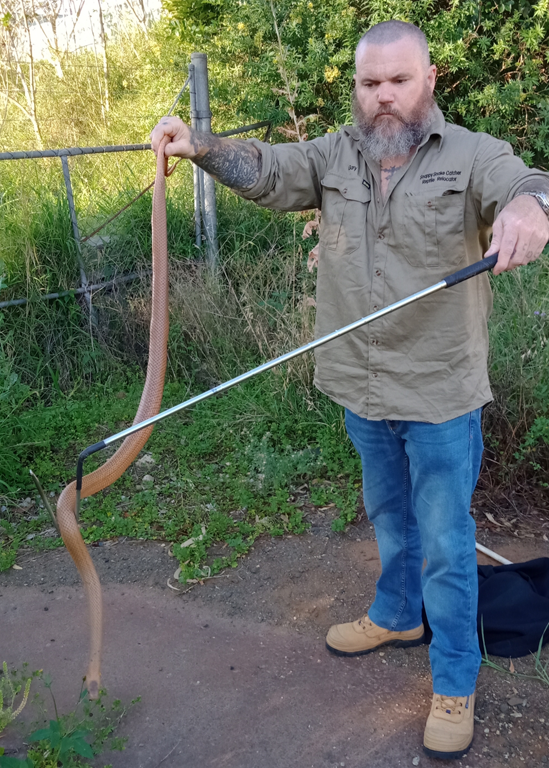 Snappy Snake Catcher Reptile Relocator - Logo