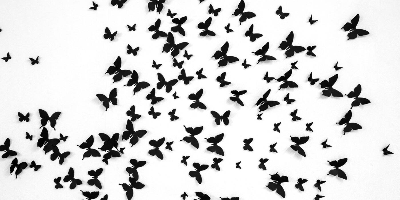Social Agility - Cover photo