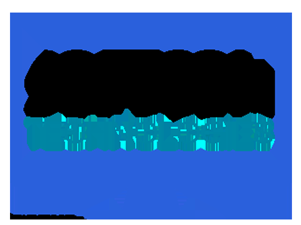 Softcom Technologies - Logo