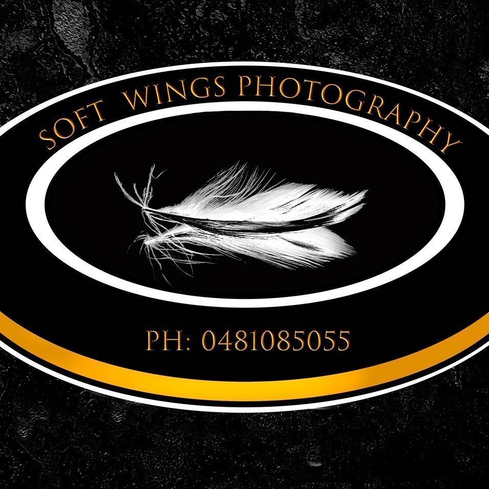 Soft Wings Photography - Logo