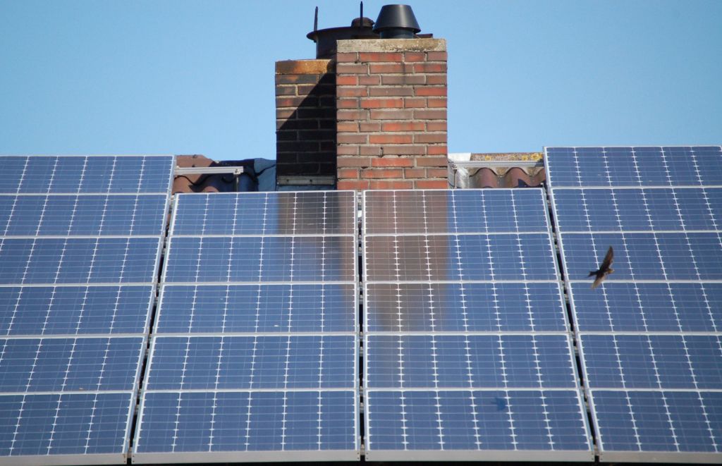 Solar Rewards - Act Green - Logo