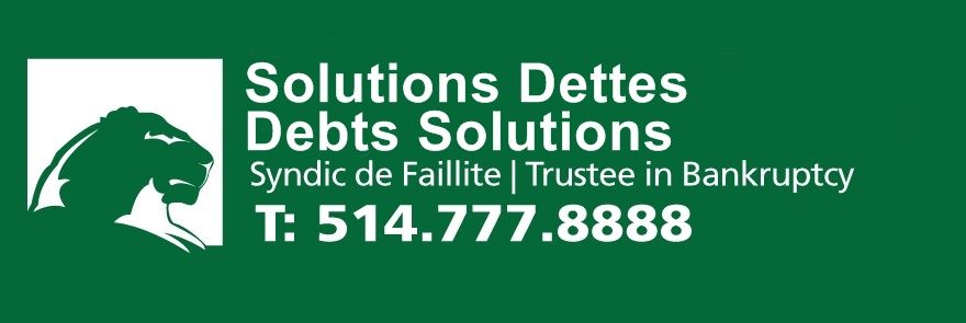 Solutions Dettes / Debts Solutions - Logo