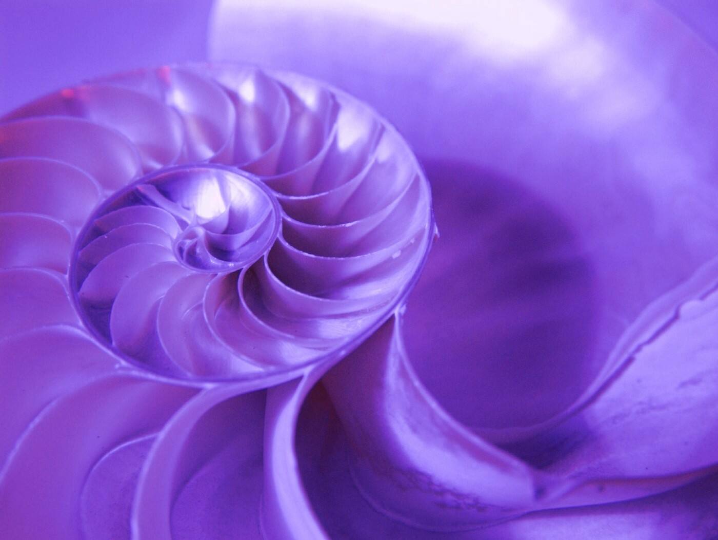 Somatic Therapies - Logo