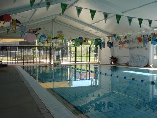 Somerset Swimming Academy - Logo