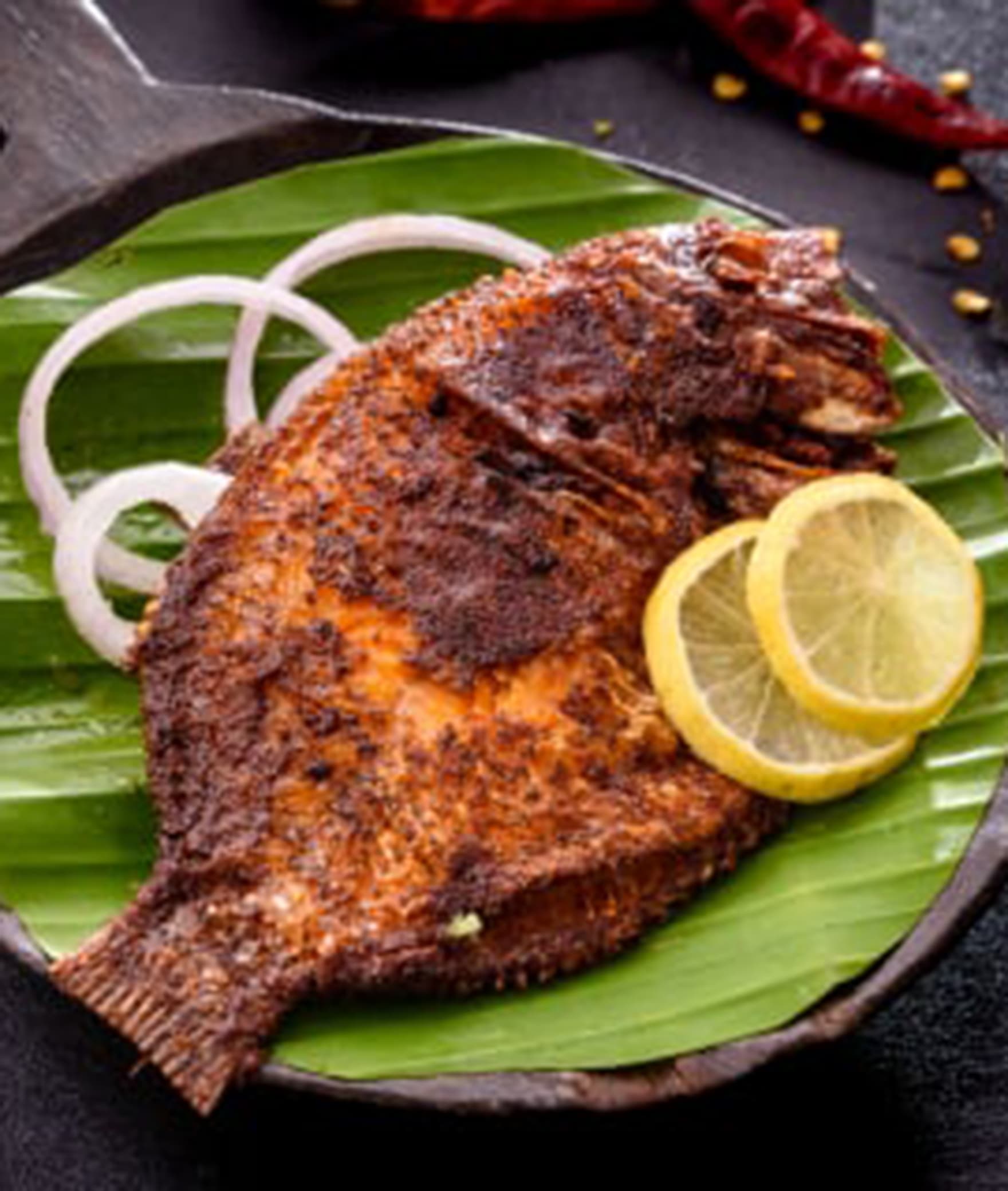 Something's Fishy- International by Tunga Andheri - Logo