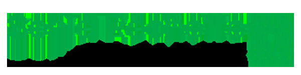 Sonia Rochette CPA-CA, D.FISC - Logo
