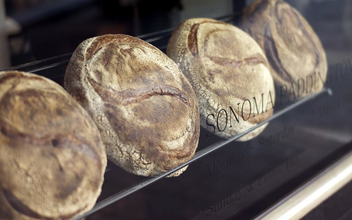 Sonoma Bakery Cafe - Alexandria - Logo