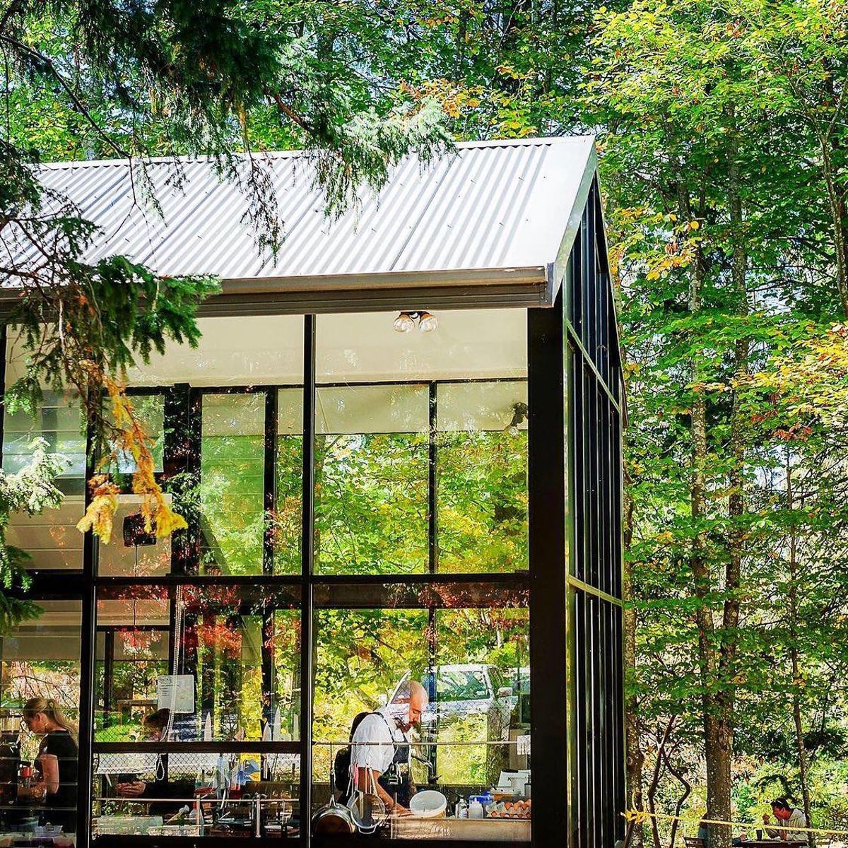 Sorensens Glasshouse & Gardens - Logo