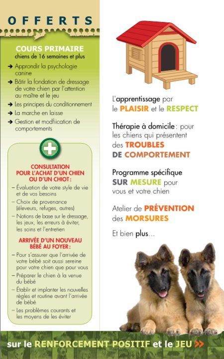 SOS Comportement Canin Enr - Logo