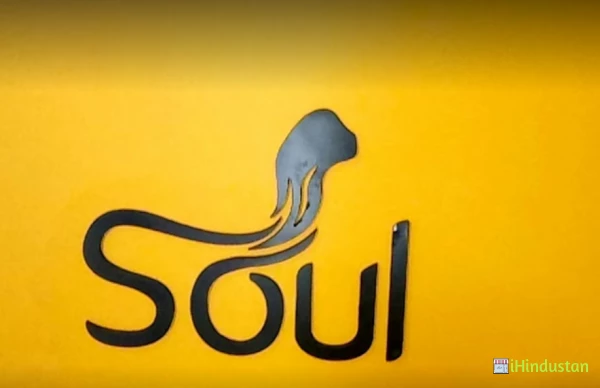 Soul Wellness centre - Logo