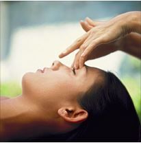South China Holistics - Logo