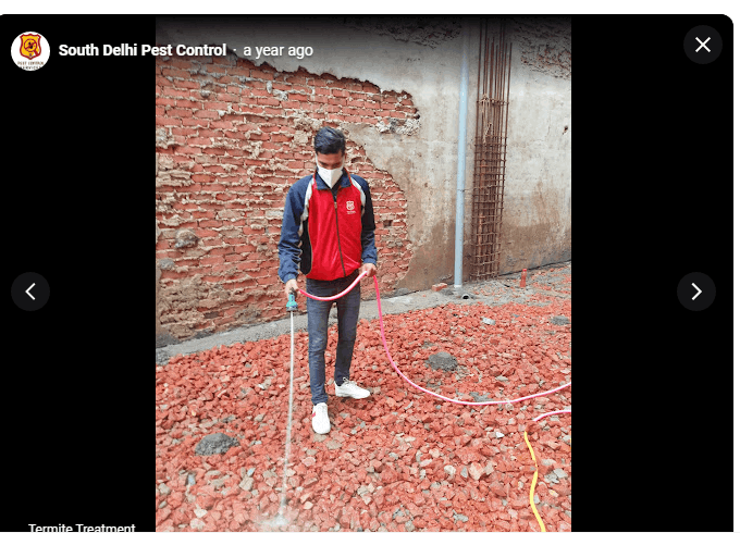 South Delhi Pest Control - Cover photo