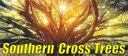 Southern Cross Trees - Logo