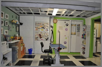 Spaw Pet Grooming - Logo