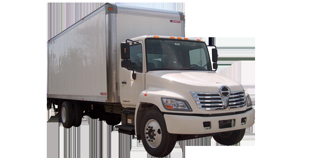 Speedy Moving Company - Logo