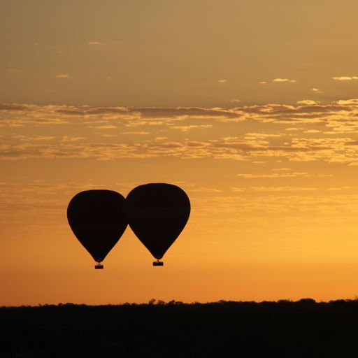 Spinifex Ballooning - Logo