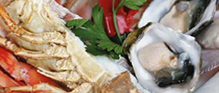 Splash Seafood Restaurant - Cover photo